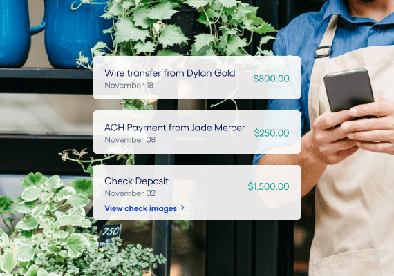 ACH, wires, and checks