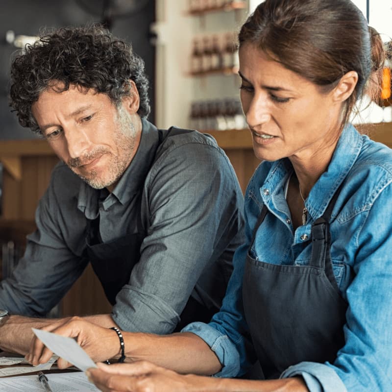 Bluevine company logo